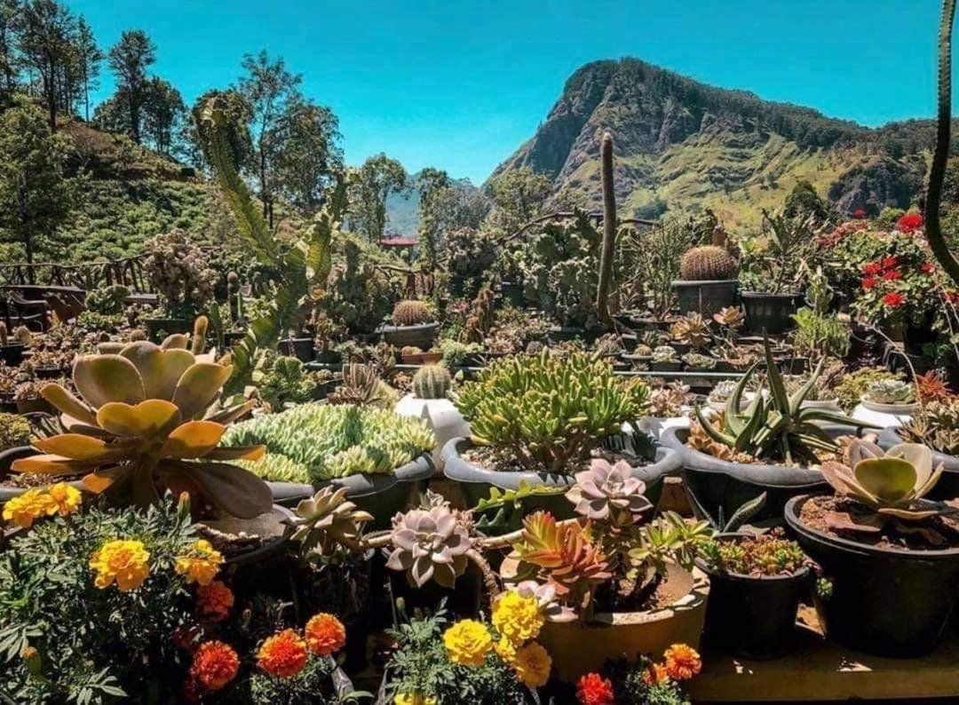 sri lanka - accommodation - ella 3